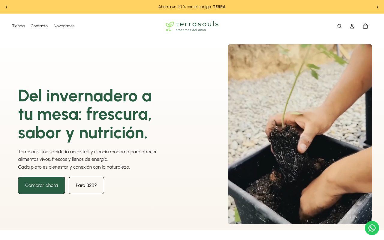 Terrasouls website